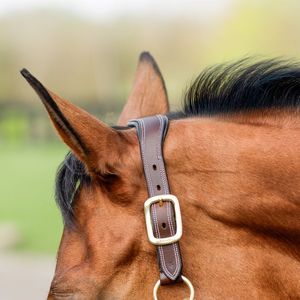 Licol pour cheval en cuir indien teint à la main de qualité supérieure avec boucle en laiton, rembourrage doux en cuir de vache, produits en cuir de haute qualité - Product Image 2