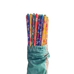 Manche de balai en bois coloré 2 en 1 poils souples portables de haute qualité 100% bois d'eucalyptus Vietnam - Product Image 1