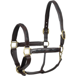 Cabestro para Caballo Royal International Premium, Acolchado, de Cuero Genuino con Detalles en Latón |   Collarín Ajustable para Caballos, Equipo Ecuestre para Establos - Product Image 2