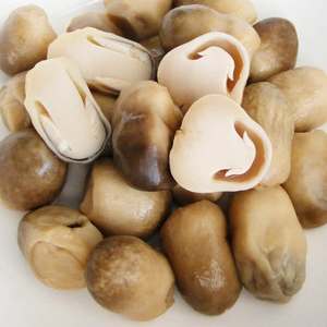 Hongo de Paja Seco Premium, Hongo Comestible de Alta Calidad, Proveedor Mayorista - Product Image 1