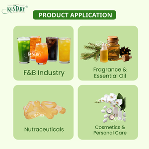 Citrons verts biologiques frais du Vietnam, sans pépins, pour l'alimentation et les boissons, durée de conservation de 2 à 3 semaines, emballage en carton pour l'exportation, qualité de catégorie A - Product Image 5