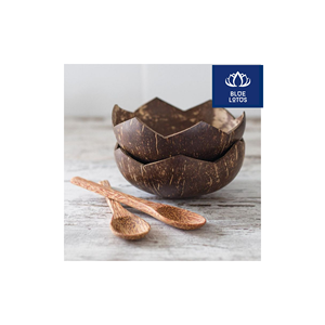 TENDANCES ACTUELLES : Bol en Coque de Noix de Coco Écologique et Sûr, Article Végétal Pur, Idéal pour Servir des Soupes et du Riz – Vendeur Direct - Product Image 1