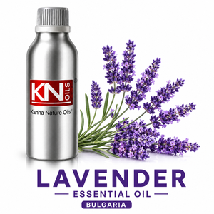 Aceite Esencial de Lavanda de Bulgaria Orgánico Certificado, 100% Puro, Lavandula Angustifolia, Fabricante y Exportador al por Mayor - Product Image 1