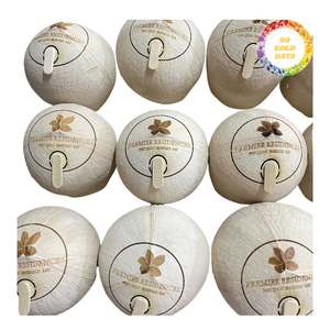 Noix de coco jeune fraîche à découpe diamantée de qualité supérieure, prête à boire, conforme aux normes d'exportation internationales, vente en gros - Product Image 4