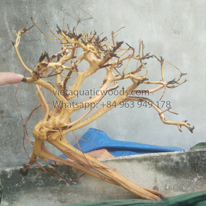 Decoración de Acuario de Madera Natural, Adorno de Raíz de Árbol con Garantía de 3 Años y Capacidad de 500 ml para Peceras, Hecho en Vietnam - Product Image 3