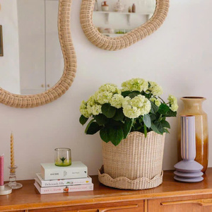 Elegance Style Wicker Rattan Scalloped <b>Planter</b> and Base Plate for Table Decor Flower Pot Basket Handcrafted Indoor Pots - Product Image 4