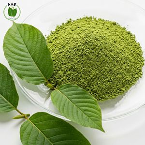 Polvo de Hoja Herbal Tailandesa Premium Pick AuE Purity Organic 2% MIT, 120 Mesh, Secado al Aire Caliente, Envasado al Vacío, Alimento Saludable de Khon Kaen - Product Image 3