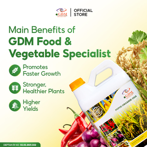Engrais Bio Organique Avancé pour Riz, Piment, Aubergine et Chou-mangeoire avec un Fort Développement Racinaire et une Production Agricole Améliorée - Product Image 3