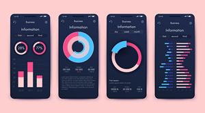 Développement d'applications mobiles de gestion de projets de construction Royalcraft pour Android et iOS avec suivi des tâches et rapports de progression - Product Image 2