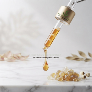 Premium Grade Frankincense Oil Supplier for Bulk Orders, Private Label Manufacturing and Professional Cosmetic Formulation - Product Image 6