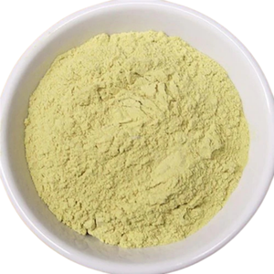 Extracto de Tallo de Aloe Vera en Polvo 99% Puro, Fabricante Patil Foods India - Product Image 4