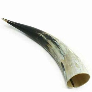 Corne à boire médiévale Viking, faite à la main, polie, sculptée en forme d'animal, mug de cérémonie, décor écologique - Product Image 1