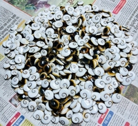 Pierres précieuses ASHU GEMS de haute qualité, œil de Shiva, pierres précieuses naturelles en vrac, cabochons de formes variées, 20-50 mm, certifiées par une tierce partie, Rajasthan