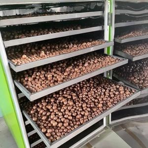 NUESITOS DE MACADAMIA PREMIUM SUSTENTABLES, ALIMENTO CRUNCHY ECOLÓGICO PARA LA NUTRICIÓN DIARIA - Product Image 6