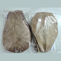 Daun Terminalia Catappa Kering India Grosir Aksesoris Akuarium Dapat Didaur Ulang Daun Sehat Natal Tahun Baru