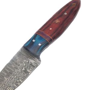 Damascus Steel Fixed Blade Red Blue <b>Multi</b> Color Wood Handle Forged Steel Skinner Hunting Knife <b>Camping</b> Outdoor Survival <b>Tool</b> - Product Image 6