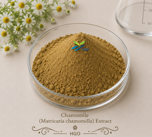 Suministro directo de fábrica HGO de extracto de manzanilla natural pura (Matricaria chamomilla) (grado de alimentos saludables) Especificación 10:1 - Product Image 1