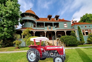 Brands of <b>Tractors</b> Including Massey Ferguson MF 35O - Product Image 6