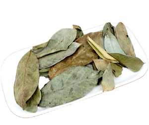 Feuilles de corossol séchées au soleil naturel du Vietnam, sélection botanique premium, soigneusement traitées, propres, aromatiques, conformes aux normes d'exportation - Product Image 5