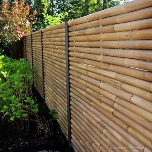 Valla de Bambú de Alta Calidad – Valla de Jardín Duradera, Ecológica, Precio Competitivo // Sr. Tom - Product Image 6