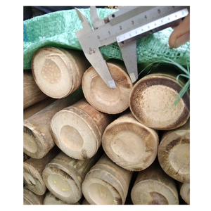 ไม้ไผ่เวียดนามสำหรับทำว่าว ขายส่งราคาแข่งขัน - Product Image 3