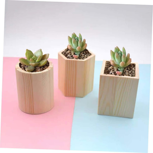 Porte-stylos en bois, porte-crayons hexagonal, porte-pinceaux de maquillage, vase, cactus, pot à crayons pour enfant, en bois de pin - Product Image 6