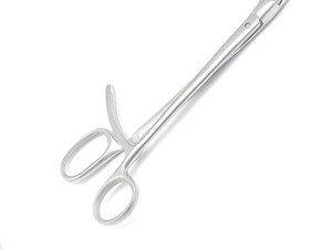Oferta Especial: Hueso Verbrugge Médico de Primera Calidad, Precio al por Mayor, Última Tendencia, Hueso Verbrugge Ligero con Diseño Perfecto - Product Image 2