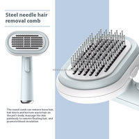 Brosse de toilettage en acier inoxydable pour animaux de compagnie peigne de massage personnalisation en gros fournisseur d'outils de soins de beauté pour animaux de compagnie