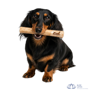Bâton à mâcher pour chien et chat en noix de coco, très populaire, durable, écologique, jouet d'intérieur pour animaux de compagnie, pour le nettoyage des dents, le soulagement de l'anxiété, la stimulation de la mastication, bleu - Product Image 1