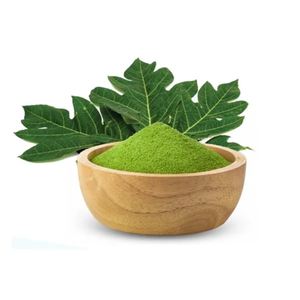 Pure Papaya Leaf Powder Bulk Supply Premium Quality <b>Natural</b> Extract Powder for Food Grade At <b>Best</b> Price - Product Image 3