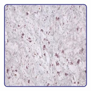 Dalles de granit en pierre naturelle polies pour la construction et l'immobilier Dalles de granit de qualité supérieure pour les sols de qualité supérieure - Product Image 3