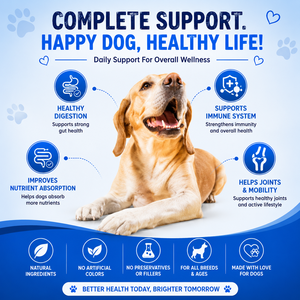 Friandises à mâcher molles pour chiens, à base de beurre de cacahuète et de citrouille, enrichies en enzymes digestives, pour le contrôle des odeurs, le soutien immunitaire et une absorption rapide, en vrac - Product Image 4