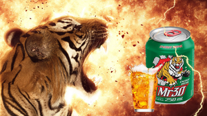 Bebida Energética MR30 con Taurina 250ml, Bebida Personalizable de Marca Privada con Soluciones de Proteína OEM ODM - Product Image 4