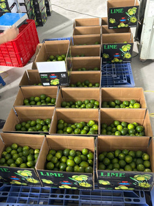 Marca TECHMIFOOD, Limas Cítricas Frescas de Primera Calidad, Color Verde Oscuro, Sin Semillas, de Vietnam (4.5 kg), 45-60 Días de Duración, para Cocinar y Preparar Bebidas - Product Image 2