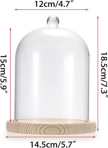 Pequeños Soportes de Madera para Decoración, Soportes Redondos de Madera para Exhibición, Platos y Bandejas para Velas, Bandejas para Velas Estilo Rústico, Decoración del Hogar - Product Image 2