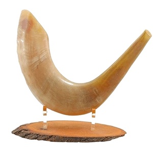 Alta calidad Kosher Sheep Ram Horn Shofar estilo religioso náutico mejor sonido precio competitivo India artesanías naturales - Product Image 1