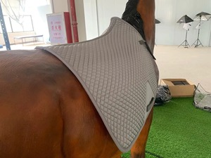 Almohadillas de Silla de Montar para Caballo de Alta Calidad, Ajustables, Tallas Grandes, Antideslizantes, Profesionales, Personalizadas, de Tela - Product Image 2