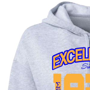 เสื้อฮู้ดครอปสำหรับผู้หญิง Custom Sigma Gamma Rho ลายตัวอักษรกรีก เสื้อสเวตเชิ้ตผ้าฟลีซ สไตล์ลำลอง แฟชั่นวิทยาลัย ขายส่ง OEM - Product Image 3