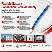Kabel Sambungan Baterai Fleksibel dengan Terminal Cincin dan Terminal Pin untuk Penyimpanan Energi