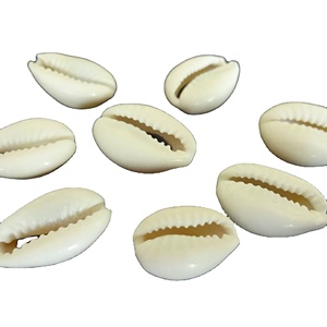 เปลือกหอยธรรมชาติสีเหลืองคุณภาพสูงสำหรับของขวัญสร้อยข้อมือ - Product Image 1