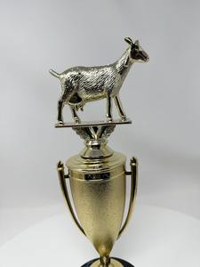 Trofeo de Metal Grabado Personalizado de la Mejor Calidad para Eventos Escolares, Universitarios y de Premiación, Disponible para Suministro al por Mayor - Product Image 5