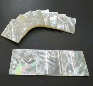 Dalles MOP Premium pour mosaïques |   Coquillages naturels bruts pour la décoration intérieure |   MOP blanc et jaune |   Qualité d'exportation - Product Image 1