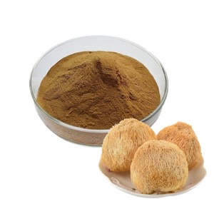 Extrait de champignon Crinière de lion 100 % pur et naturel 10:1 – Poudre d'extrait de Hericium Erinaceus de qualité supérieure pour la concentration et le soutien de la mémoire - Product Image 4