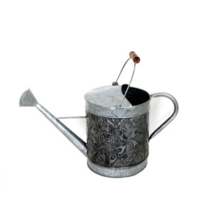 Arrosoir à long bec fin, accessoires de jardinage décoratifs, arrosoir en fer pour plantes - Product Image 4