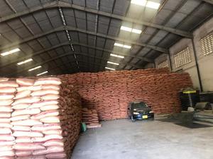 Urea 46%N en Perlas y Fertilizante de Urea 46% Nitrógeno - Grado Industrial 99% Pureza, Fertilizante Agrícola de Liberación Rápida en Venta - Product Image 2
