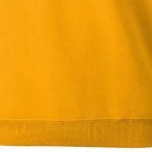 เสื้อสเวตเชิ้ต Sigma Gamma Rho สีทองสำหรับผู้หญิง ลายกรีก ออกแบบด้วยตัวอักษรและกราฟิกของชมรม พร้อมปักชื่อชมรมแบบกำหนดเอง - Product Image 4