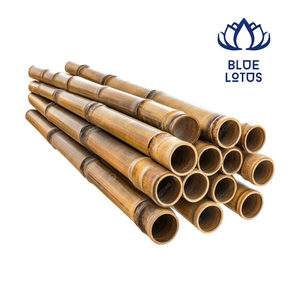 Pôles en bambou écologiques de haute qualité, très demandés, qualité supérieure, pôles de support pour plantes durables, vente en gros au Vietnam - Product Image 1