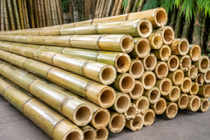 Canes en bambou écologiques prêtes à l'exportation |   Poteau en bambou 100% naturel pour le soutien des cultures agricoles et des jardins - Product Image 2