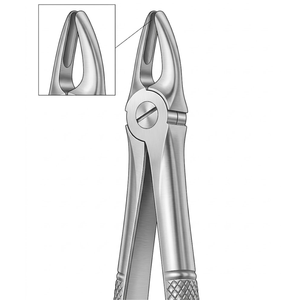 คีมถอนฟันแบบอังกฤษ รุ่น Fig. 2 |   เครื่องมือถอนฟันกรามบนและฟันสุนัข |   สแตนเลสเกรดพรีเมียม - Product Image 1