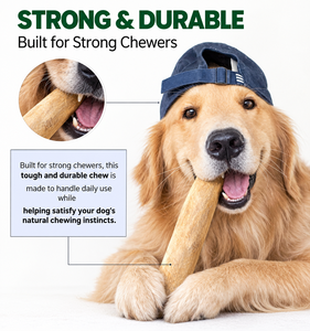 Juguete Masticable de Madera Natural para Perros, Duradero, para Perros Medianos, Uso en Interiores, Color Sólido, Estilo Simple, Operación Manual - Product Image 2